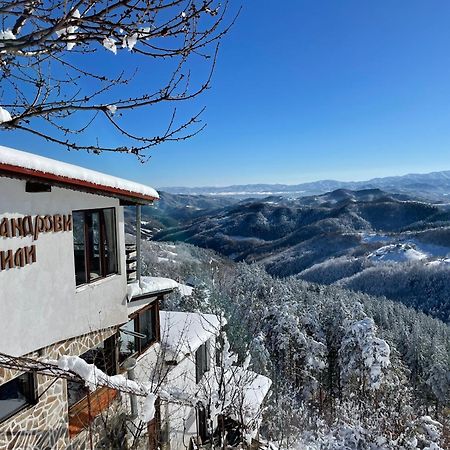 Александрова Вила 1 ซลาโตกราด ภายนอก รูปภาพ